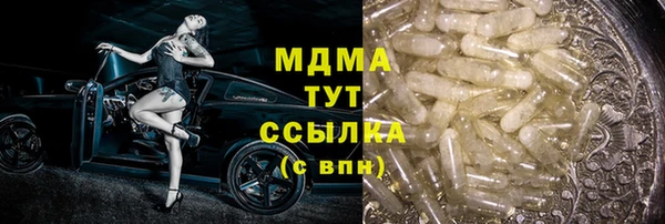 прущие грибы Вязьма